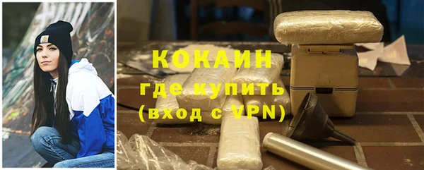 прущие грибы Волгодонск