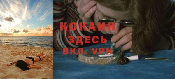 шишки Михайлов