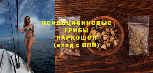шишки Михайлов