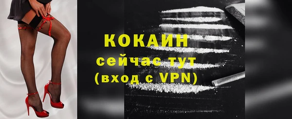 шишки Михайлов