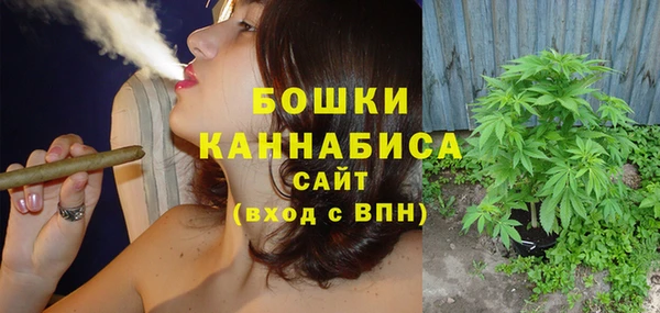 шишки Михайлов