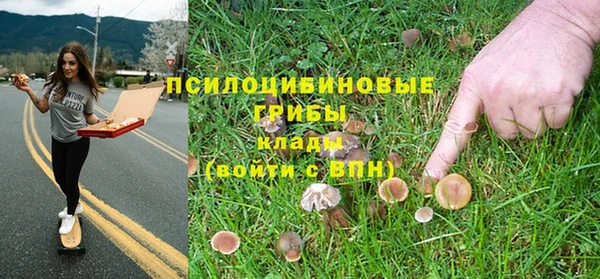 круглые Михайловск