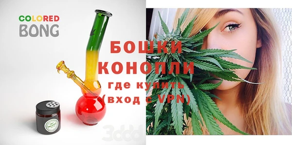 шишки Михайлов